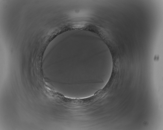 X0000112071441200909151038