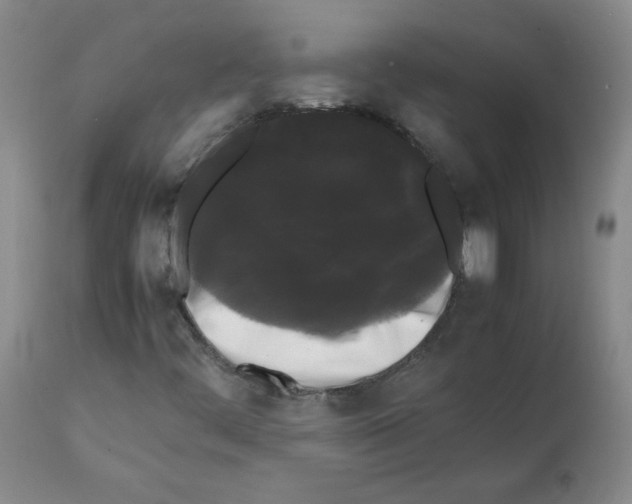 X0000112071444200909151038