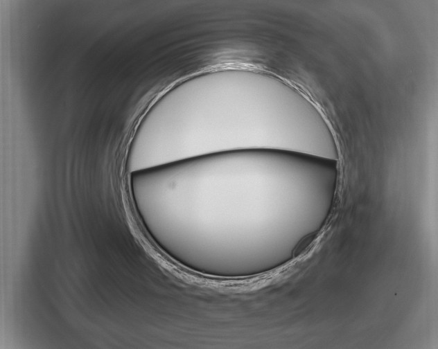 X0000112070001201007221016