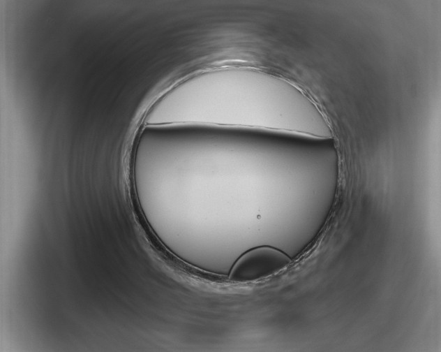 X0000112070004201007221016