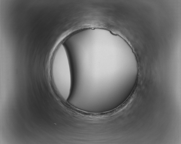X0000112070008201007221016