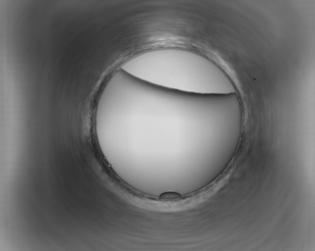 X0000112070010201007221016
