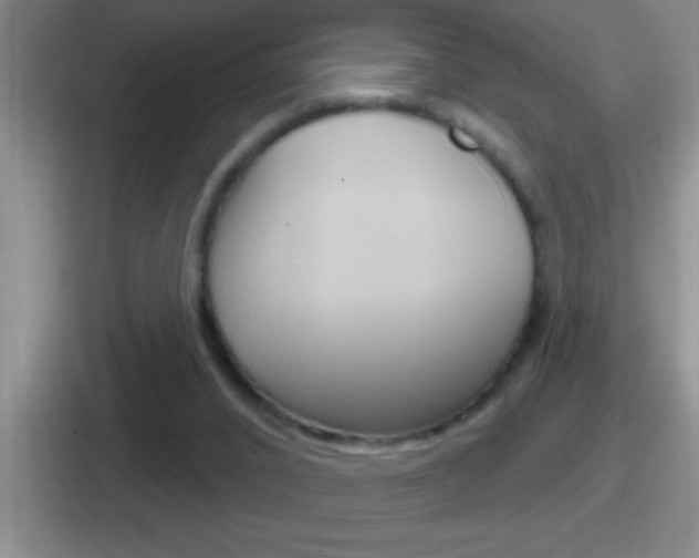 X0000112070016201007221016