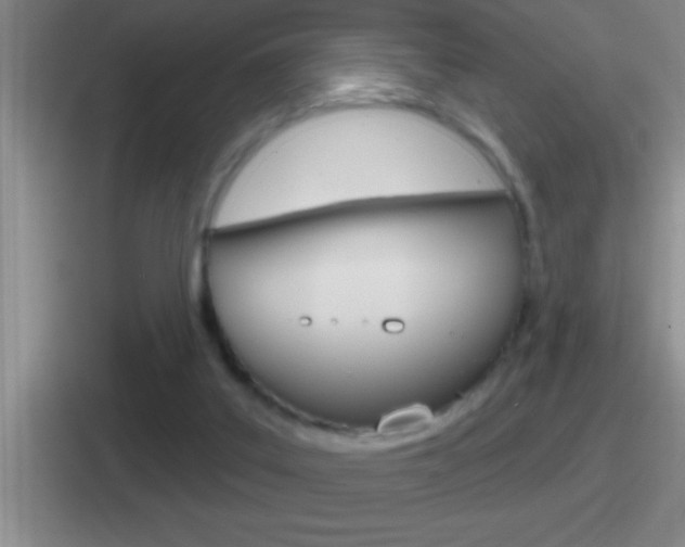 X0000112070019201007221016