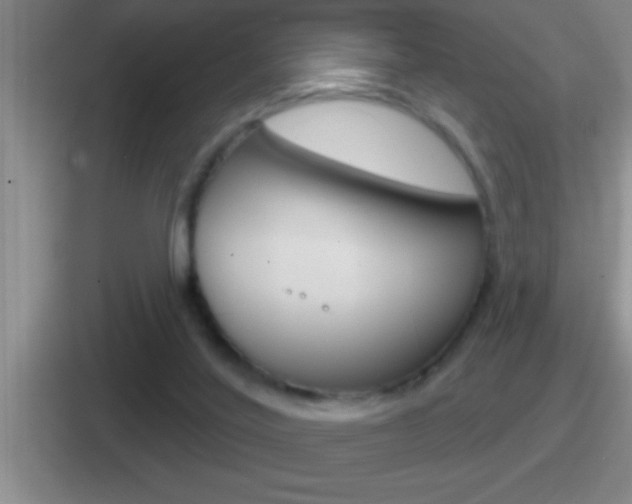 X0000112070020201007221016