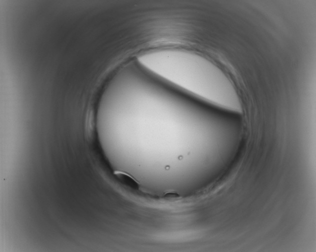 X0000112070024201007221015