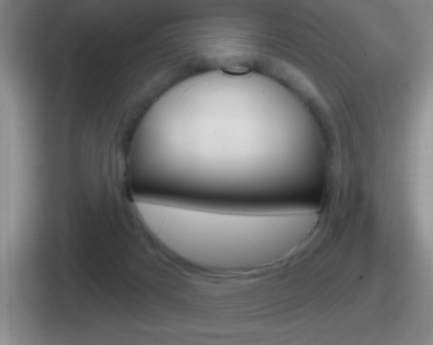 X0000112070025201007221015