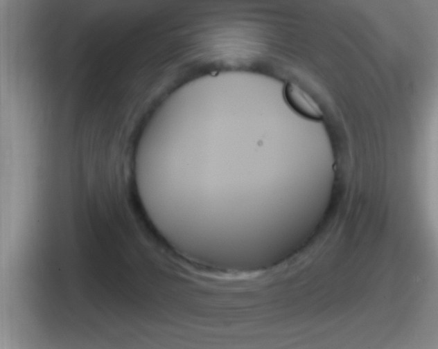 X0000112070032201007221015