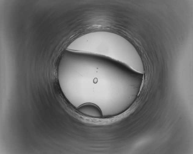 X0000112070048201007221015