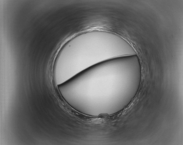 X0000112070050201007221015