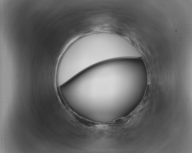 X0000112070052201007221015