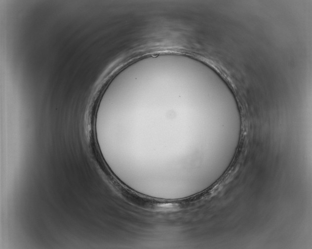 X0000112070053201007221015