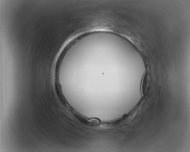 X0000112070056201007221015