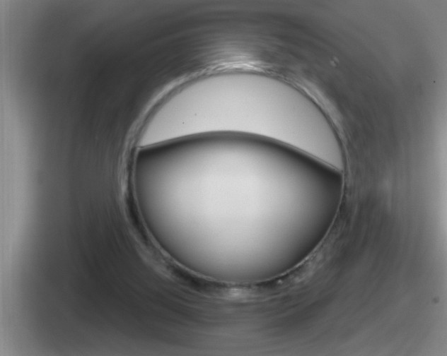 X0000112070060201007221015