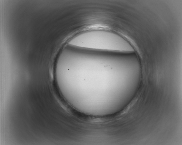 X0000112070062201007221015