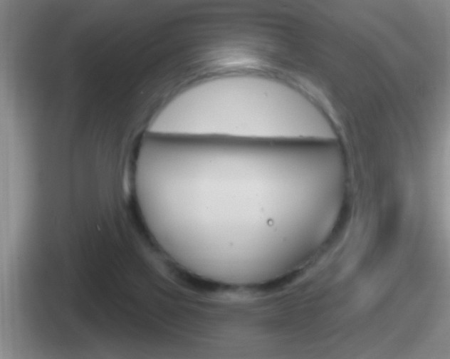 X0000112070069201007221015