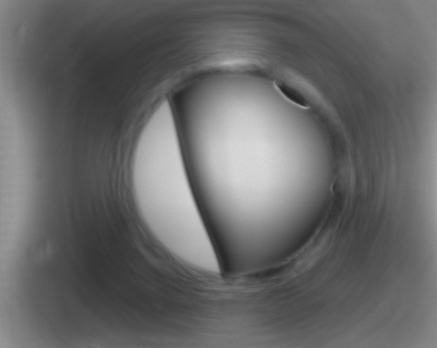 X0000112070072201007221015