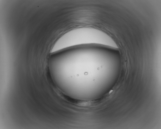 X0000112070084201007221015