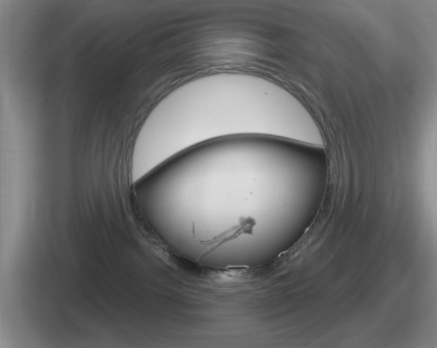 X0000112070092201007221015