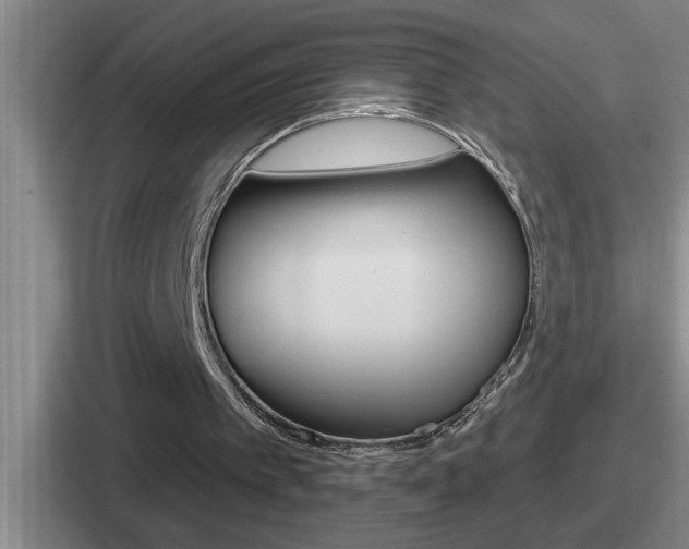 X0000112070097201007221015