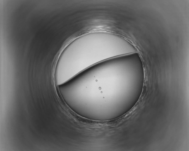 X0000112070099201007221015