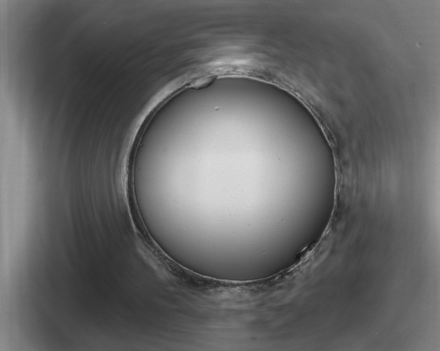 X0000112070100201007221014