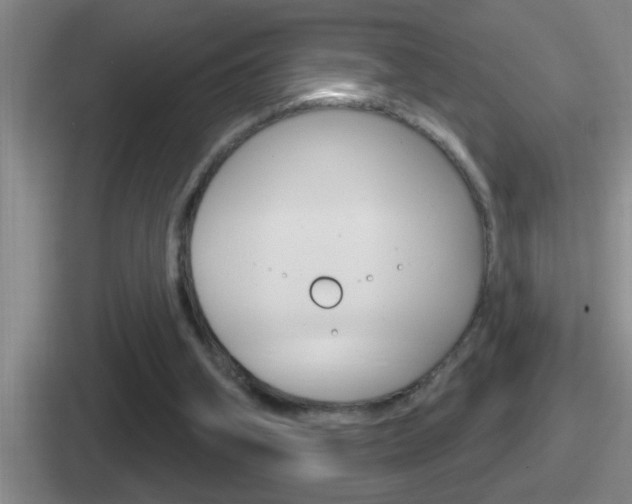 X0000112070106201007221014