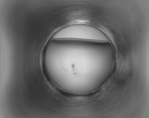 X0000112070107201007221014