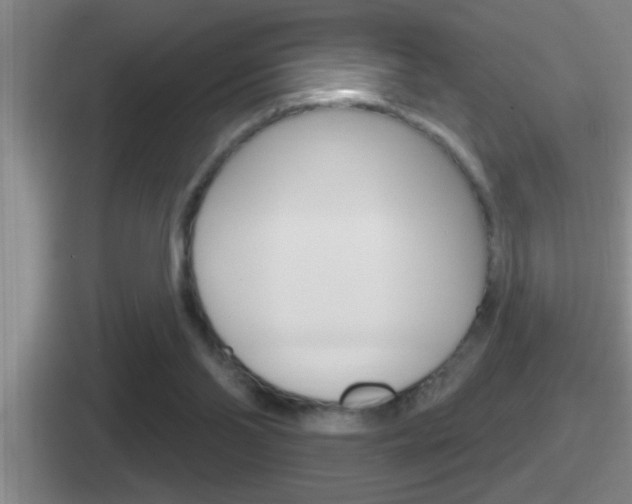 X0000112070110201007221014