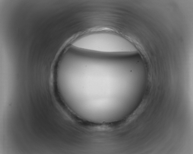 X0000112070112201007221014
