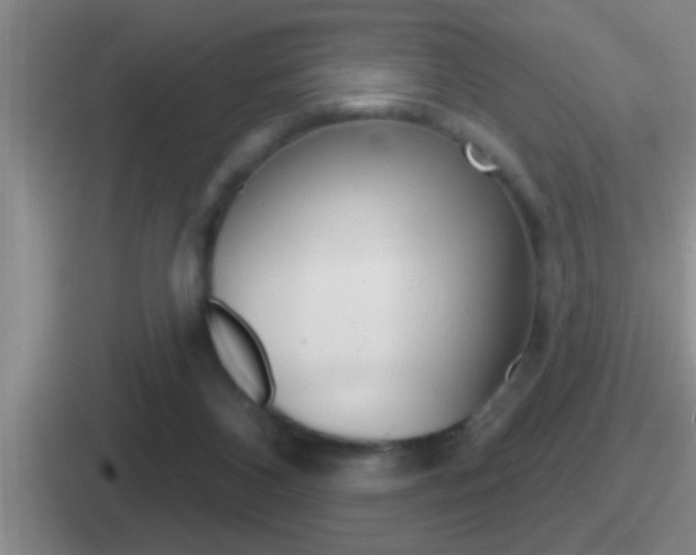 X0000112070116201007221014