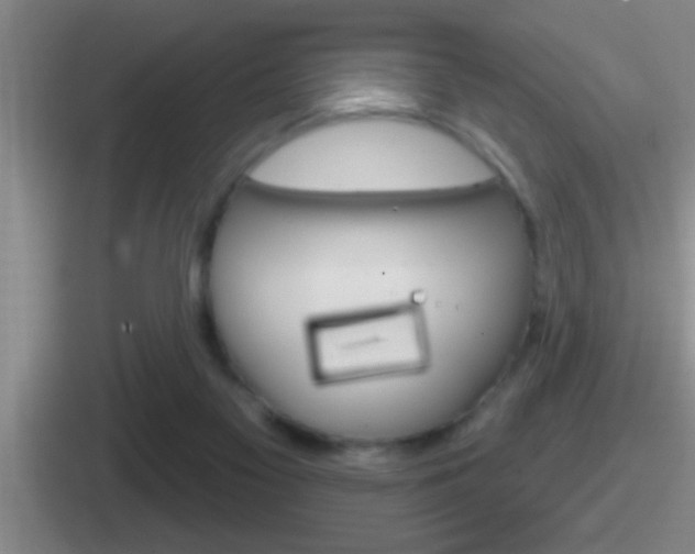 X0000112070117201007221014