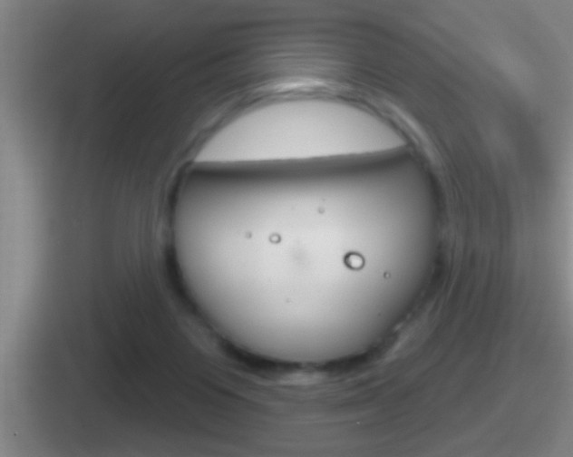 X0000112070119201007221014