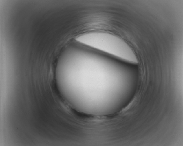 X0000112070128201007221014