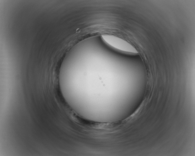 X0000112070136201007221014