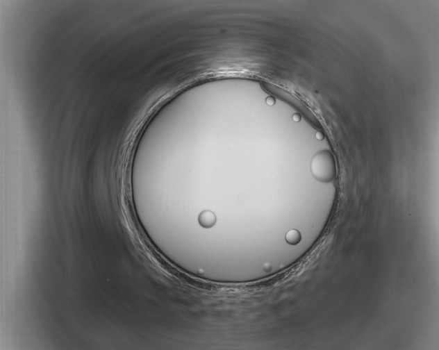 X0000112070145201007221013