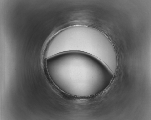 X0000112070150201007221013