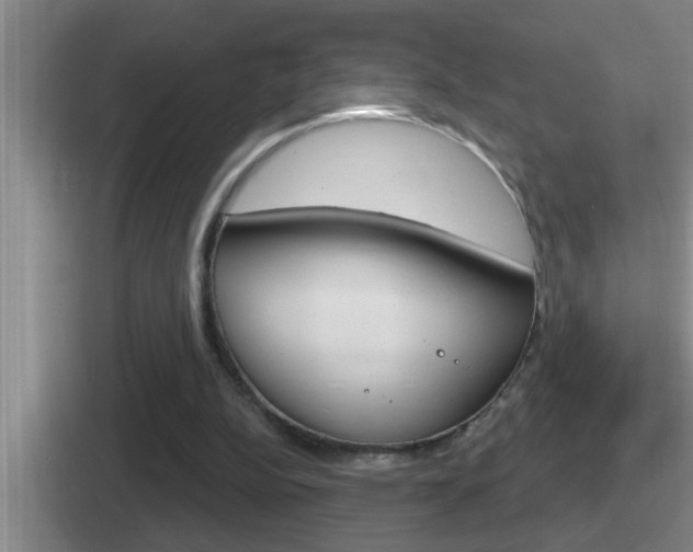 X0000112070152201007221013