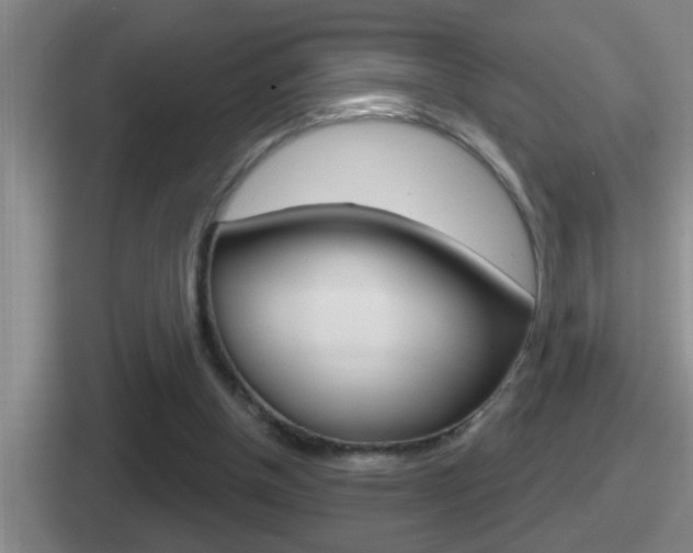 X0000112070154201007221013