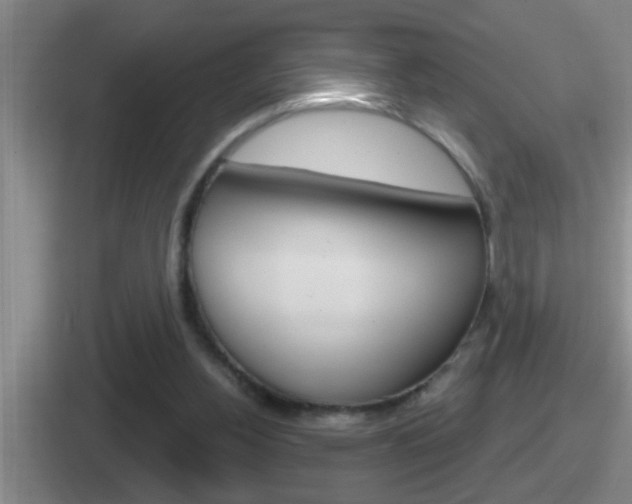 X0000112070156201007221013