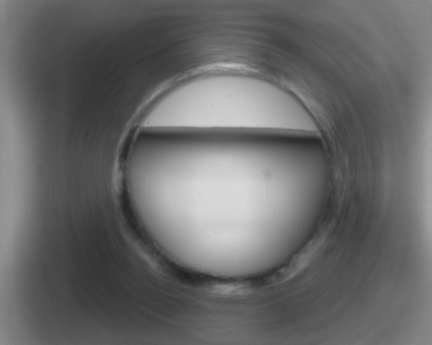 X0000112070160201007221014