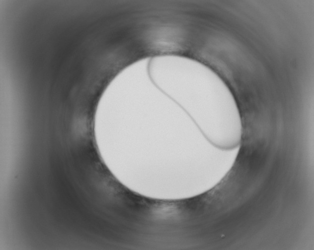 X0000112070162201007221014
