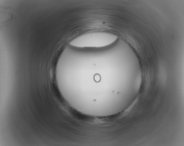 X0000112070166201007221014
