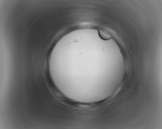 X0000112070167201007221014