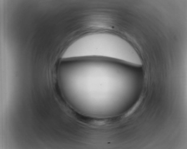 X0000112070170201007221014