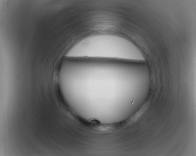 X0000112070172201007221014