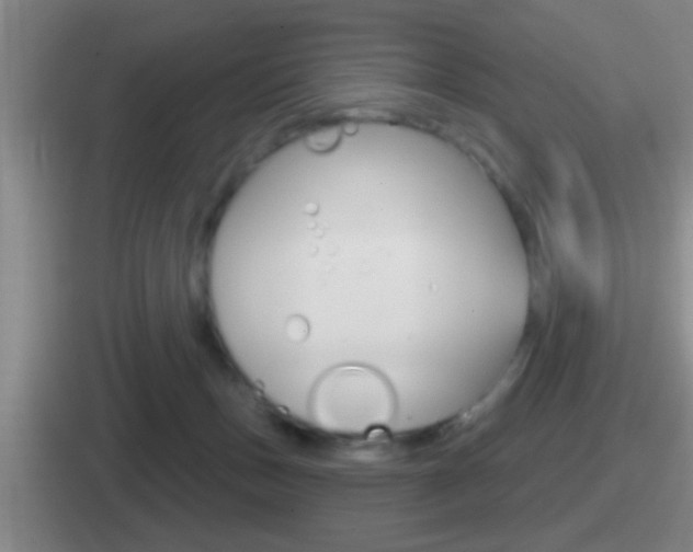 X0000112070175201007221014