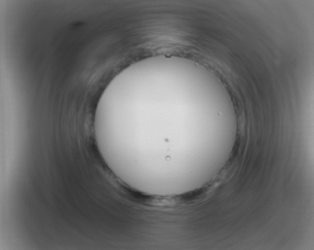 X0000112070181201007221014