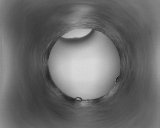X0000112070184201007221014