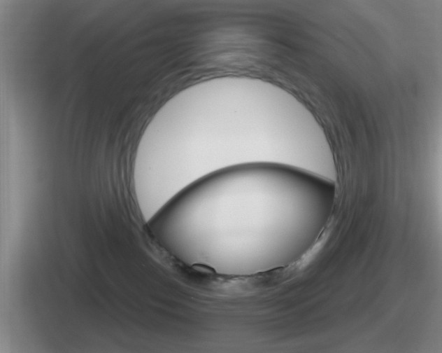 X0000112070186201007221014
